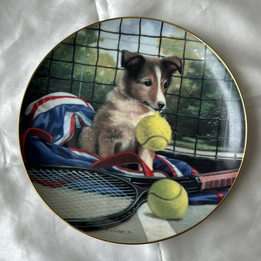 Net Play 🎾 Jim Lamb Good Sports Collection